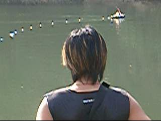 carp fish coming!!